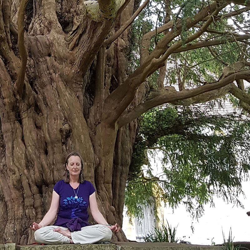 Thalia meditate with yew
