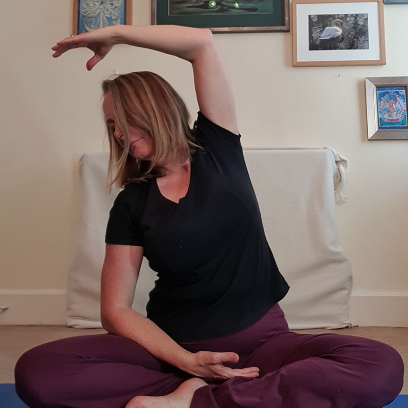 seated side bend