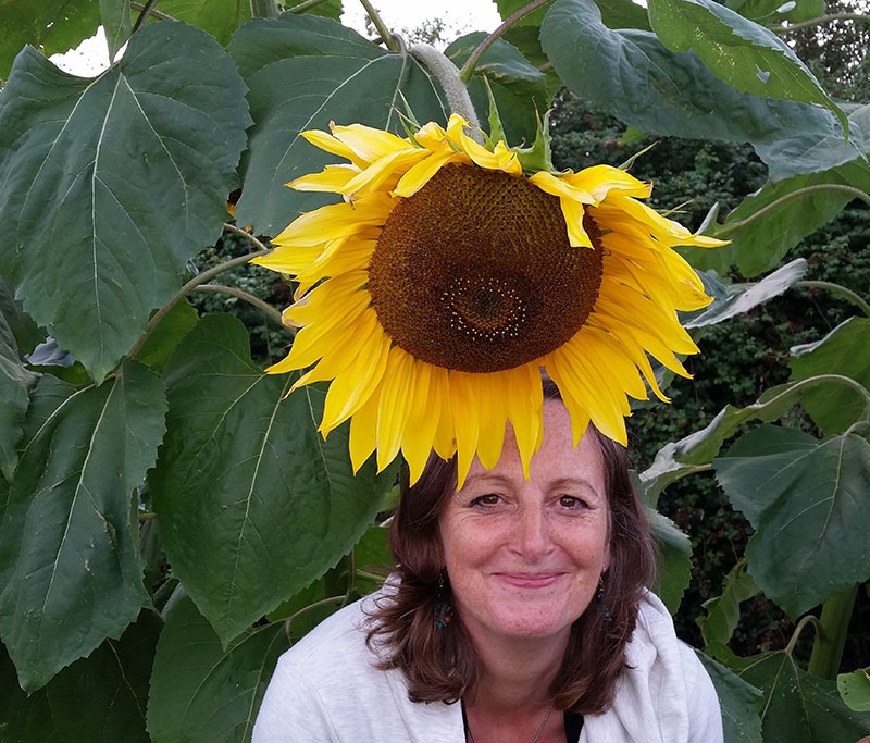 sunflower portrait